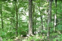 99999 Spring Valley Drive # 45, Waynesville, NC 28786, MLS # 4052856 - Photo #4