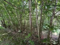 Carriage Summit Way # 2442, Hendersonville, NC 28791, MLS # 4053174 - Photo #16