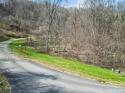 80 Freemont Drive # 80, Leicester, NC 28748, MLS # 4057787 - Photo #40