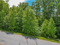 57 Wood Owl Court, Hendersonville, NC 28791, MLS # 4059230 - Photo #8