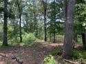 7718 Pleasant Hill Church Road, Marshville, NC 28103, MLS # 4061206 - Photo #8