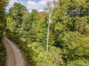 1043 Spruce Flats Road, Maggie Valley, NC 28751, MLS # 4064698 - Photo #2