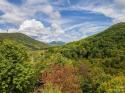 1043 Spruce Flats Road, Maggie Valley, NC 28751, MLS # 4064698 - Photo #7