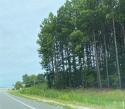 Dallas Cherryville Highway, Dallas, NC 28034, MLS # 4064842 - Photo #1