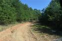 Hwy 70 Highway, Nebo, NC 28761, MLS # 4067934 - Photo #7