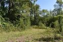 Hwy 70 Highway, Nebo, NC 28761, MLS # 4067934 - Photo #14