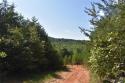 Hwy 70 Highway, Nebo, NC 28761, MLS # 4067934 - Photo #20