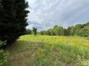 4182 Slanting Bridge Road, Sherrills Ford, NC 28673, MLS # 4072676 - Photo #15