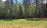 6148 Volte Drive Unit 104, Mint Hill, NC 28227, MLS # 4075996 - Photo #4