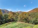 75 Hollow Drive, Maggie Valley, NC 28751, MLS # 4082546 - Photo #34