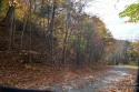 S Valley View Drive # 39, Mars Hill, NC 28754, MLS # 4082975 - Photo #2