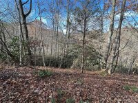 Rock House Cove Road # 2, Clyde, NC 28721, MLS # 4086980 - Photo #1