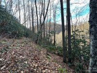 Rock House Cove Road # 2, Clyde, NC 28721, MLS # 4086980 - Photo #2