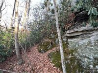 Rock House Cove Road # 2, Clyde, NC 28721, MLS # 4086980 - Photo #4