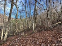 Rock House Cove Road # 2, Clyde, NC 28721, MLS # 4086980 - Photo #5