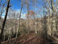 Rock House Cove Road # 2, Clyde, NC 28721, MLS # 4086980 - Photo #7
