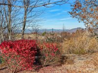 99999 Bay Laurel Lane # 1905, Hendersonville, NC 28791, MLS # 4089321 - Photo #3