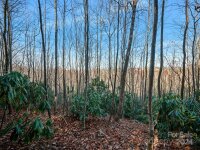 99999 Bay Laurel Lane # 1905, Hendersonville, NC 28791, MLS # 4089321 - Photo #7