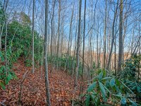 99999 Bay Laurel Lane # 1905, Hendersonville, NC 28791, MLS # 4089321 - Photo #18