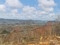 Shoal Ridge Unit 5, Union Mills, NC 28167, MLS # 4089944 - Photo #41