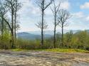 Shoal Ridge Unit 5, Union Mills, NC 28167, MLS # 4089944 - Photo #44