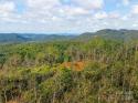 Shoal Ridge Unit 4, Union Mills, NC 28167, MLS # 4089945 - Photo #27