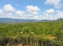 Shoal Ridge Unit 4, Union Mills, NC 28167, MLS # 4089945 - Photo #25