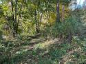 1764 Hyder Mountain Road, Clyde, NC 28721, MLS # 4090127 - Photo #2