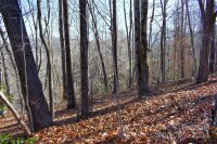 6 Aldersgate Road # 6 and, Waynesville, NC 28786, MLS # 4094190 - Photo #8