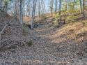 Scouts Trail Trail, Bostic, NC 28018, MLS # 4095562 - Photo #1