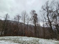849 Whisper Mountain Drive # 48, Leicester, NC 28748, MLS # 4098408 - Photo #3