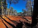 130 Hunt Camp Trail Unit 14, Davidson, NC 28036, MLS # 4101845 - Photo #3