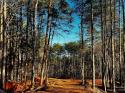 130 Hunt Camp Trail Unit 14, Davidson, NC 28036, MLS # 4101845 - Photo #4