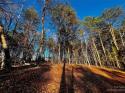 127 Hunt Camp Trail Unit 16, Davidson, NC 28036, MLS # 4101848 - Photo #1