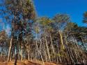 123 Hunt Camp Trail Unit 17, Davidson, NC 28036, MLS # 4101851 - Photo #2