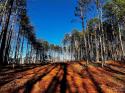 109 Hunt Camp Trail Unit 19, Davidson, NC 28036, MLS # 4101865 - Photo #1