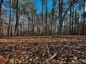 126 Hunt Camp Trail Unit 20, Davidson, NC 28036, MLS # 4101878 - Photo #2