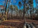 126 Hunt Camp Trail Unit 20, Davidson, NC 28036, MLS # 4101878 - Photo #4