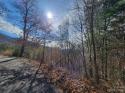 110 Curly Maple Drive # 4, Canton, NC 28716, MLS # 4104157 - Photo #1