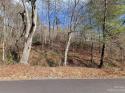 110 Curly Maple Drive # 4, Canton, NC 28716, MLS # 4104157 - Photo #7