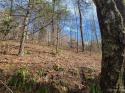 110 Curly Maple Drive # 4, Canton, NC 28716, MLS # 4104157 - Photo #10
