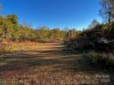 Mount Hebron Road, Old Fort, NC 28762, MLS # 4107029 - Photo #11