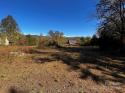 Mount Hebron Road, Old Fort, NC 28762, MLS # 4107029 - Photo #16