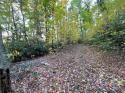 Mount Hebron Road, Old Fort, NC 28762, MLS # 4107029 - Photo #20