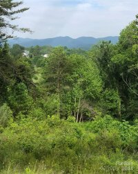 Cathey Cove Road, Waynesville, NC 28786, MLS # 4108336 - Photo #4