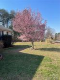5220 Arden Gate Drive, Iron Station, NC 28080, MLS # 4110555 - Photo #7