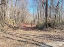 Vannoy Ridge Road, Moravian Falls, NC 28654, MLS # 4111868 - Photo #30