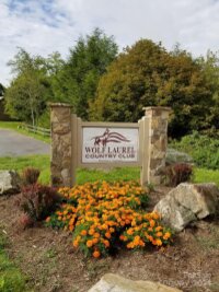 El Miner Drive # 464, Mars Hill, NC 28754, MLS # 4112703 - Photo #19