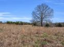 Jack McKinney Road, Rutherfordton, NC 28139, MLS # 4117860 - Photo #23