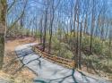 775 Middle Connestee Trail, Brevard, NC 28712, MLS # 4118358 - Photo #4